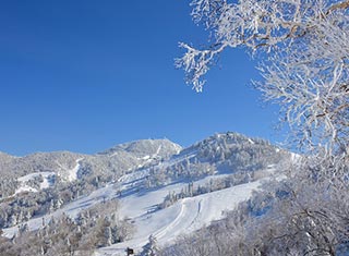 Mt.Yokote / Shibutsu Ski Resort